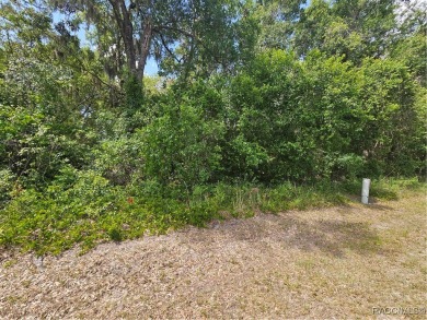 Lake Lot For Sale in Hernando, Florida