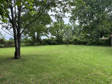 Located in the heart of the Ozarks near beautiful Bull Shoals - photo 33