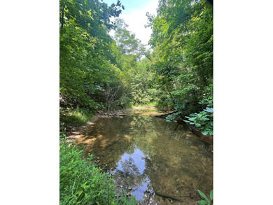 Queens Creek Lake Lot For Sale in Topton North Carolina