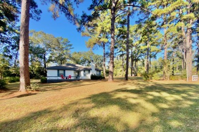 PERFECT LAKE RETREAT! - photo 19