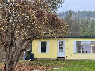 Lake Home For Sale in Evans, Washington