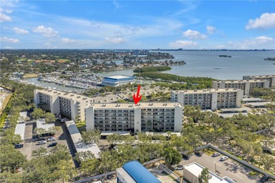 (private lake, pond, creek) Condo For Sale in South Pasadena Florida