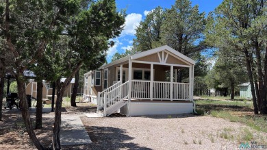 Lake Home For Sale in Quemado, New Mexico