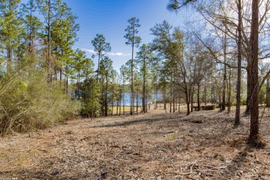Steelwood Lake Lot For Sale in Loxley Alabama