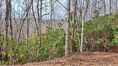 Lake Nantahala Lot For Sale in Topton North Carolina