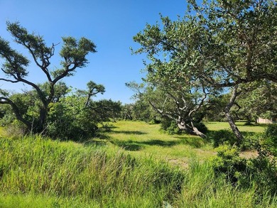 This beautiful property is waiting for your FOREVER HOME to be - photo 1