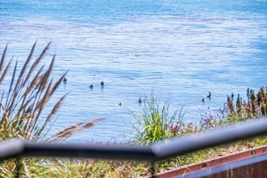 At the end of a quiet street in Capitola's coveted Depot Hill - photo 17
