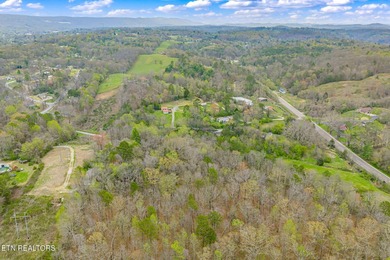 If you're looking for acreage, privacy, and no restrictions - photo 29