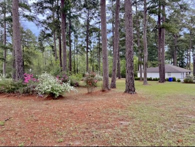 PERFECT LAKE RETREAT! - photo 26