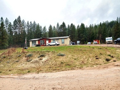 Lake Home For Sale in Inchelium, Washington