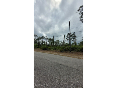 Lehigh Acres Area Lot For Sale in Lehigh Acres Florida
