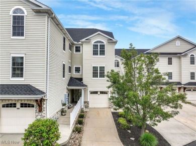 Lake Condo For Sale in Ashtabula, Ohio
