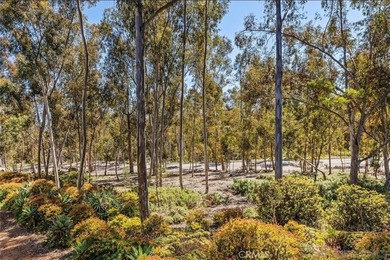 Seller will pay one year of HOA - photo 2