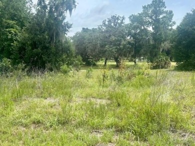 Lake George Lot For Sale in Crescent City Florida