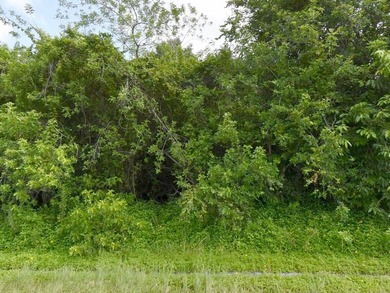 In the beautiful Port Saint Lucie,minutes to the beach. Build - photo 1