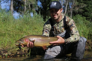 Escape to Poudre River Lodge, a stunning 63.8-acre riverfront - photo 4