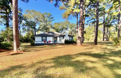 PERFECT LAKE RETREAT! - photo 18