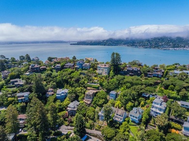 306 Bella Vista Avenue sits in one of Belvedere's most - photo 4