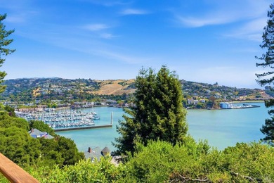 306 Bella Vista Avenue sits in one of Belvedere's most - photo 7