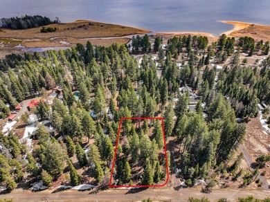 No HOA and no CCRs! This spacious corner lot, just over half an - photo 25