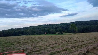 Lake Acreage For Sale in Erin, New York