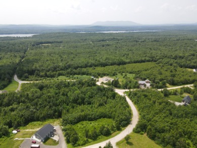 Long Lake - Cumberland County Acreage For Sale in Harrison Maine