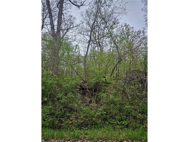 (private lake, pond, creek) Lot For Sale in Oak Grove Missouri