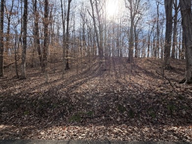 Lake Lot - photo 4