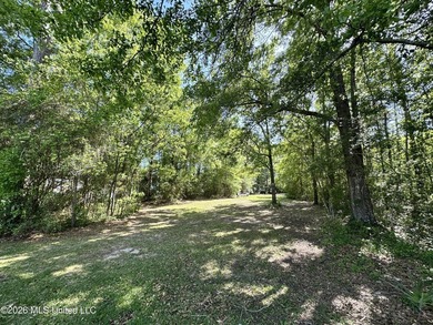 Nice large residential building lot in Gautier. Minutes away - photo 1