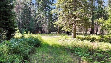 Pend Oreille River Acreage For Sale in Cusick Washington
