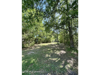 Nice large residential building lot in Gautier. Minutes away - photo 4