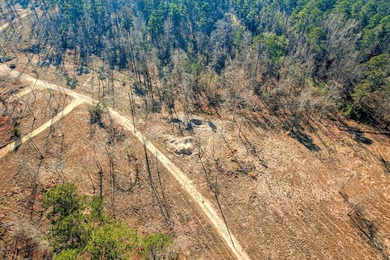 Unparalleled in the Southeast, 440 Abundance Way offers 1.00 - photo 12