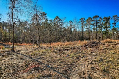 Unparalleled in the Southeast, 440 Abundance Way offers 1.00 - photo 14