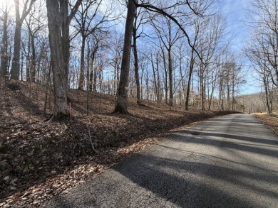 Lake Lot - photo 3