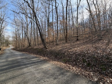 Lake Lot - photo 5