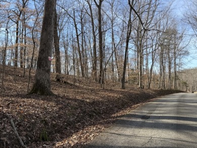 Lake Lot - photo 8