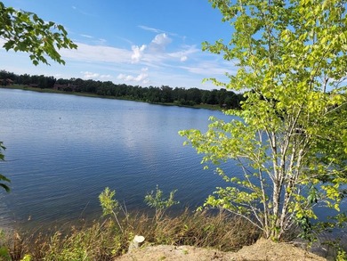 Lake Life Anyone?! OWNER FINANCING AVAILABLE! Here's your chance - photo 1