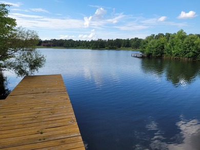 Lake Life Anyone?! OWNER FINANCING AVAILABLE! Here's your chance - photo 2