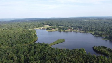 Lake Life Anyone?! OWNER FINANCING AVAILABLE! Here's your chance - photo 5