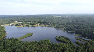 Lake Life Anyone?! OWNER FINANCING AVAILABLE! Here's your chance - photo 6