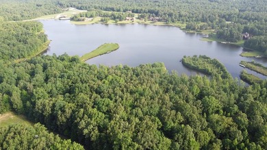 Lake Life Anyone?! OWNER FINANCING AVAILABLE! Here's your chance - photo 7