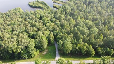 Lake Life Anyone?! OWNER FINANCING AVAILABLE! Here's your chance - photo 8