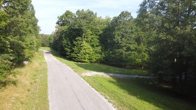 Lake Life Anyone?! OWNER FINANCING AVAILABLE! Here's your chance - photo 10