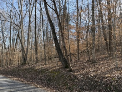 Lake Lot - photo 7