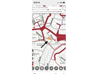 Lake George Lot For Sale in Georgetown Florida