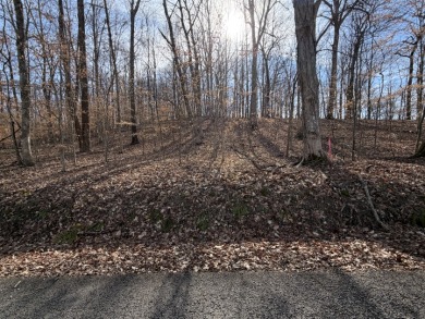 Lake Lot - photo 6