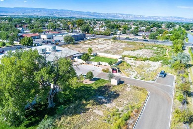 This gorgeous property, just off of the key roads of 32 Road and - photo 38