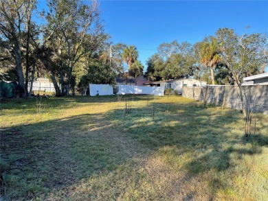 Lake Maggiore  Lot For Sale in St. Petersburg Florida