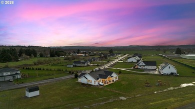 Incredible Tulip Meadows custom Cascade West luxury Home! - photo 47