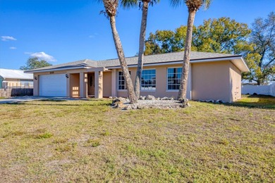 Port Charlotte Waterway Area Home For Sale in Port Charlotte Florida